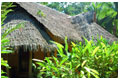 Cariblue Hotel Costa Rica