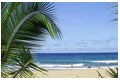 Cariblue Hotel Costa Rica