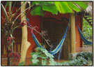 Cariblue Hotel Costa Rica