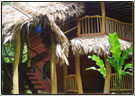 Cariblue Hotel Costa Rica
