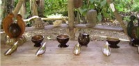 Agricultural Tours: Visit a Typical Talamancan Farm